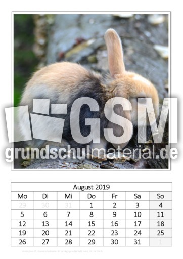 August_Kaninchen_1.pdf